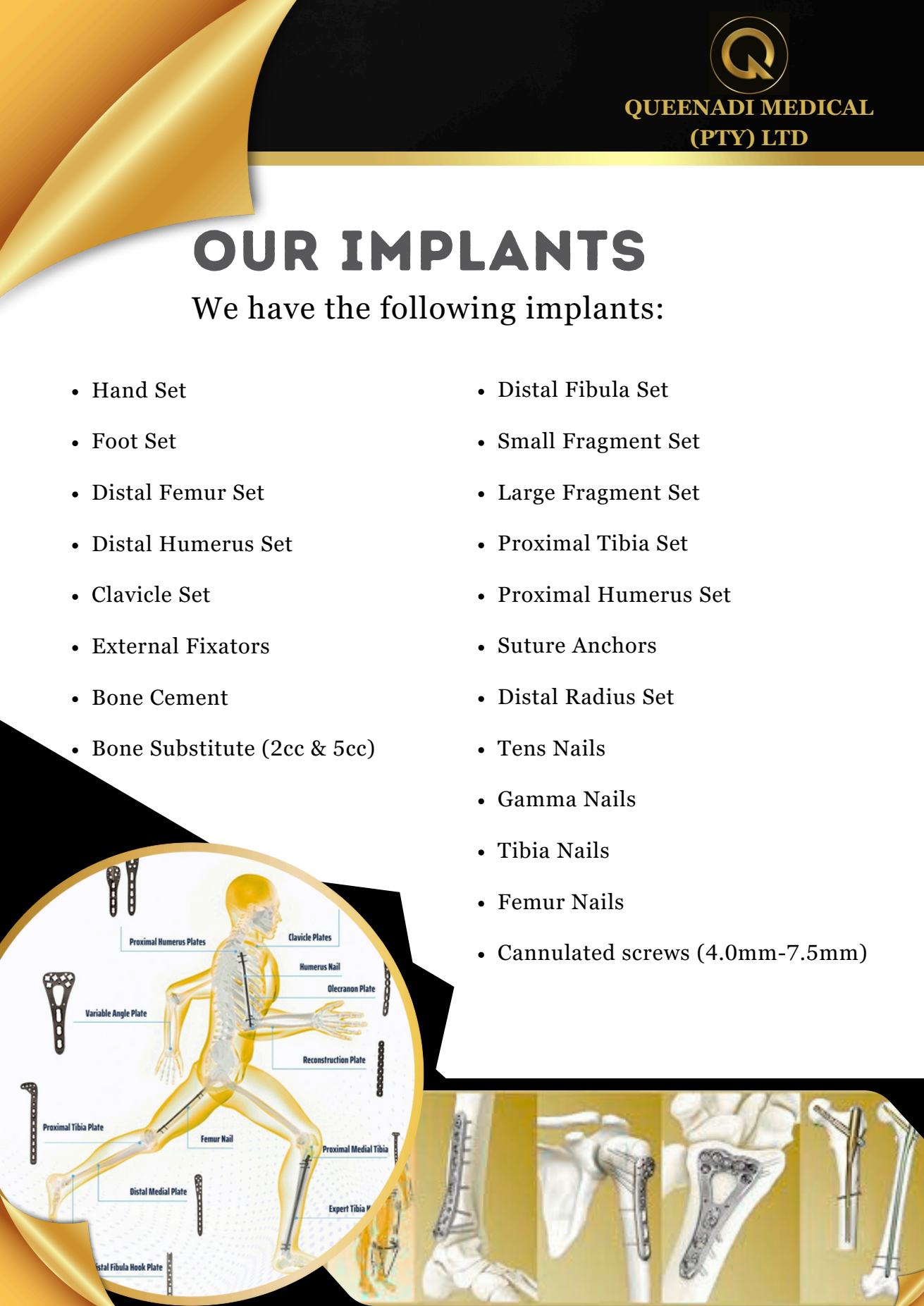 Human anatomy illustration and implant portfolio visuals